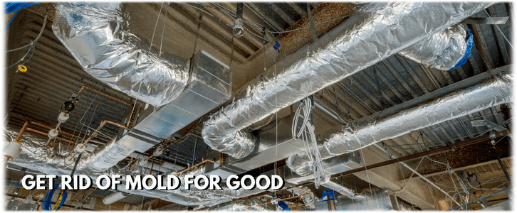 Air Duct Mold Removal in Los Angeles