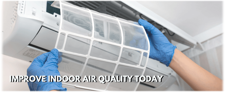 HVAC Mold Removal Los Angeles